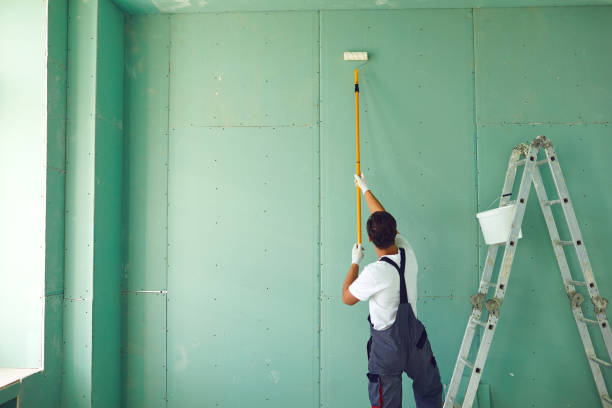 Best Commercial Mold Inspection  in Edwards, CO
