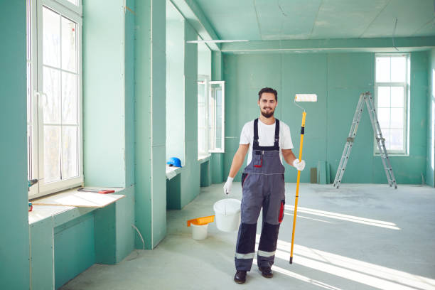 Best Basement Mold Removal  in Edwards, CO