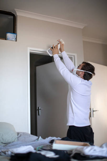 Best Environmental Consulting for Mold Prevention  in Edwards, CO