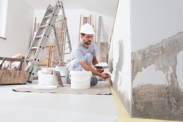 Best Emergency Mold Remediation  in Edwards, CO