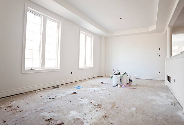Best Mold Damage Restoration  in Edwards, CO