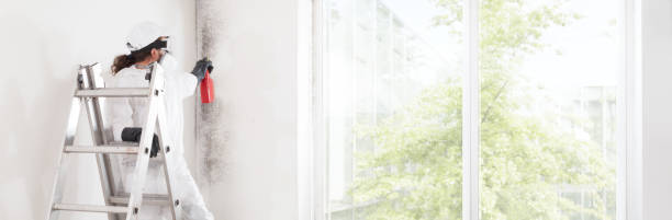 Best Mold Remediation for Healthcare Facilities  in Edwards, CO