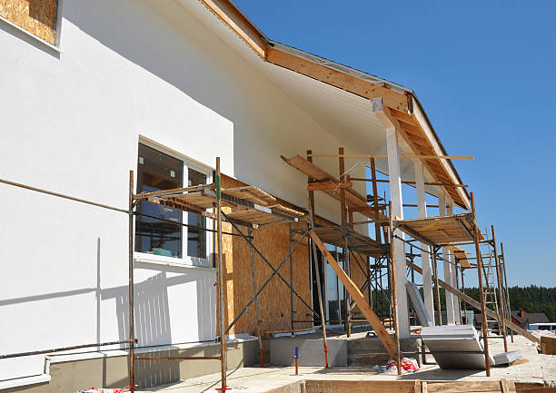  Edwards, CO Mold Removal Pros